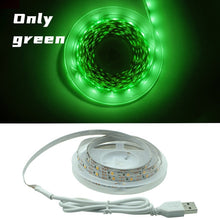 Load image into Gallery viewer, LED Strip Light Flexible Lamp 1M 2M 3M 4M 5M Tape Diode SMD 2835 DC5V Desk Screen TV Background Lighting USB Cable 3 Key Control
