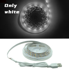 Load image into Gallery viewer, LED Strip Light Flexible Lamp 1M 2M 3M 4M 5M Tape Diode SMD 2835 DC5V Desk Screen TV Background Lighting USB Cable 3 Key Control
