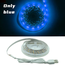 Load image into Gallery viewer, LED Strip Light Flexible Lamp 1M 2M 3M 4M 5M Tape Diode SMD 2835 DC5V Desk Screen TV Background Lighting USB Cable 3 Key Control
