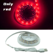 Load image into Gallery viewer, LED Strip Light Flexible Lamp 1M 2M 3M 4M 5M Tape Diode SMD 2835 DC5V Desk Screen TV Background Lighting USB Cable 3 Key Control
