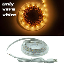 Load image into Gallery viewer, LED Strip Light Flexible Lamp 1M 2M 3M 4M 5M Tape Diode SMD 2835 DC5V Desk Screen TV Background Lighting USB Cable 3 Key Control
